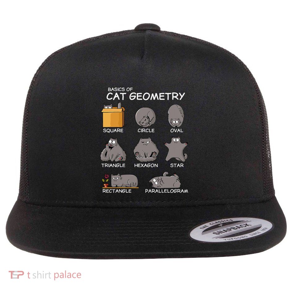 Cat Geometry Math Funny Cat Gifts For Cat Dad Cat Mom Flatbill Hat