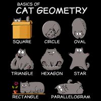 Cat Geometry Math Funny Cat Gifts For Cat Dad Cat Mom Cooling Performance Long Sleeve Crew