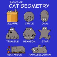 Cat Geometry Math Funny Cat Gifts For Cat Dad Cat Mom T-Shirt
