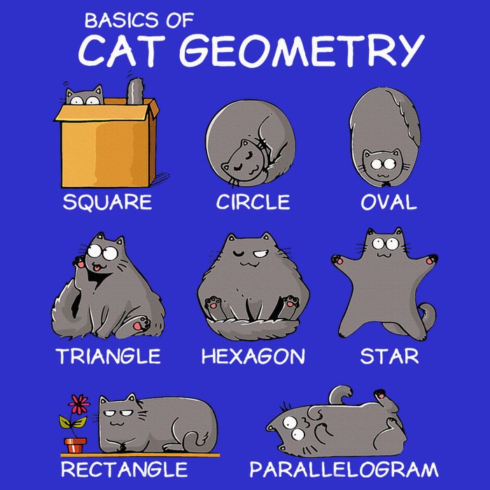 Cat Geometry Math Funny Cat Gifts For Cat Dad Cat Mom T-Shirt