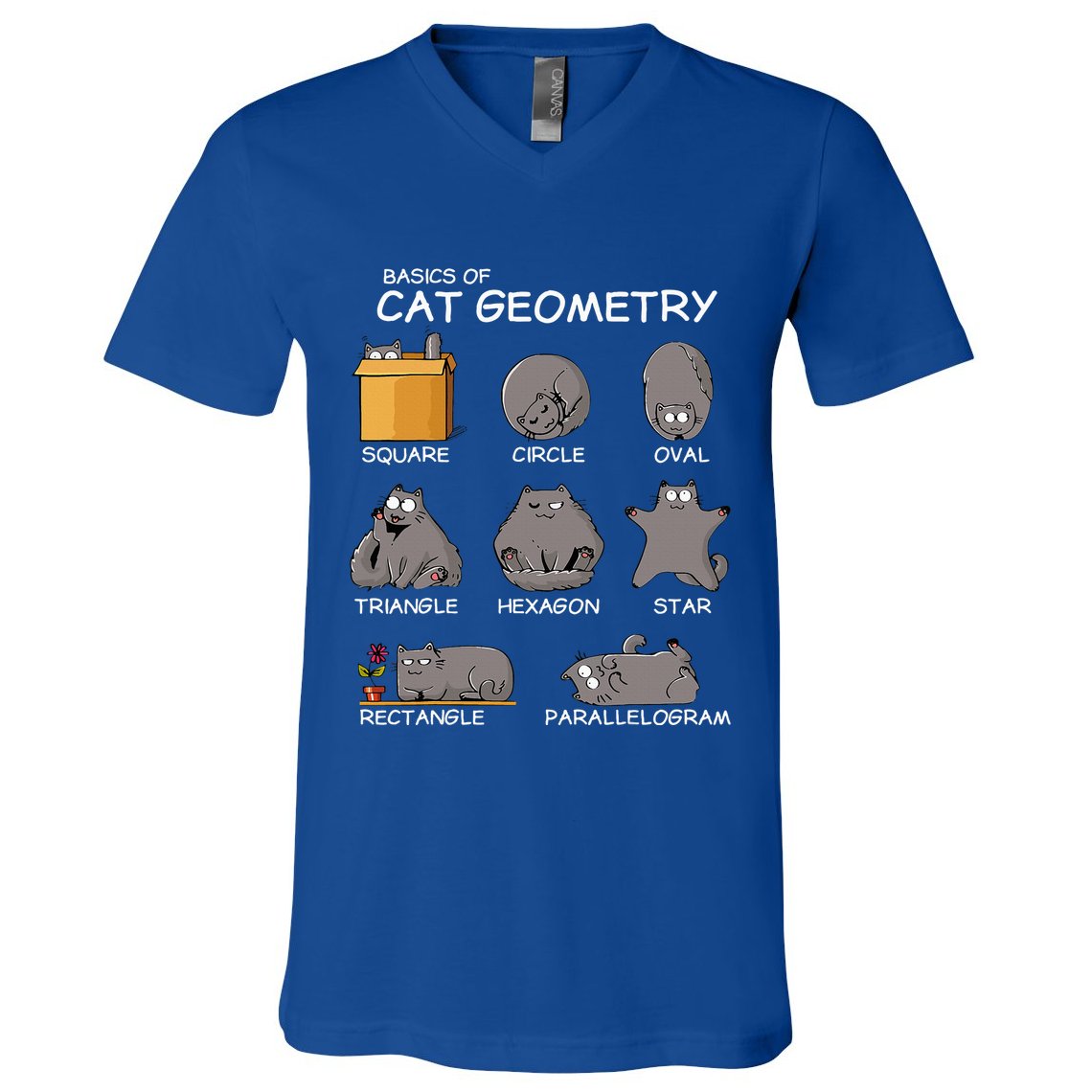 Cat Geometry Math Funny Cat Gifts For Cat Dad Cat Mom V-Neck T-Shirt