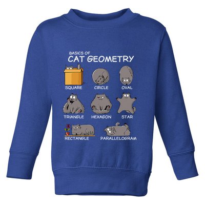 Cat Geometry Math Funny Cat Gifts For Cat Dad Cat Mom Toddler Sweatshirt