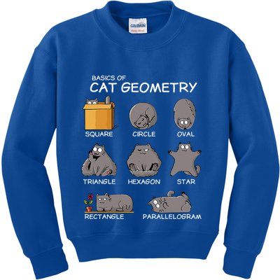 Cat Geometry Math Funny Cat Gifts For Cat Dad Cat Mom Kids Sweatshirt