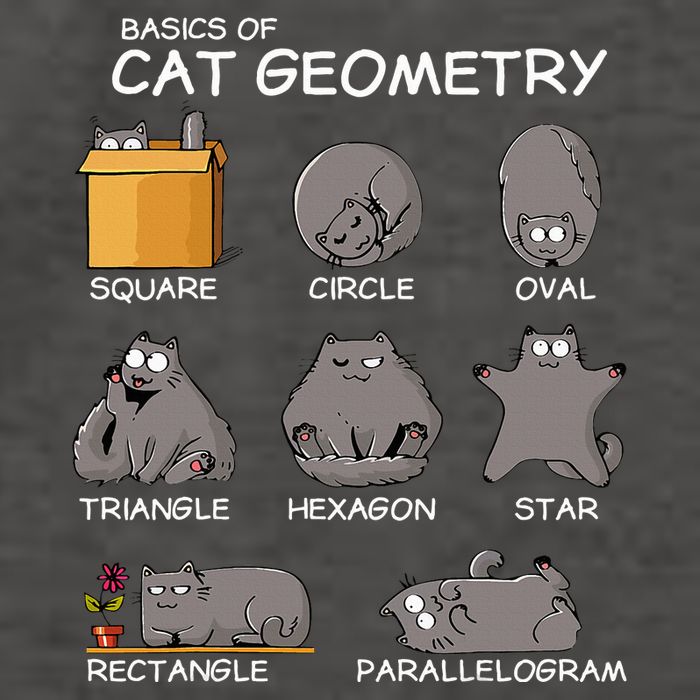 Cat Geometry Math Funny Cat Gifts For Cat Dad Cat Mom Vector Backpack
