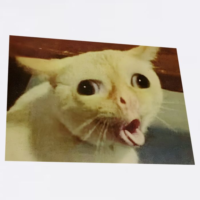 Cat Gagging Meme Flatbill Hat