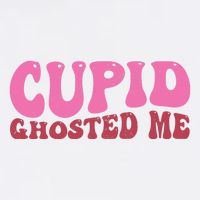 Cupid Ghosted Me Funny Valentines Day Flatbill Hat