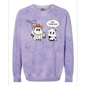 Cow Ghosts Moo I Mean Boo Cow Ghost Halloween Gift Colorblast Crewneck Sweatshirt