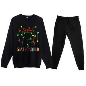 Christmas Gastro Nurse Squad Gastroenterology Doctor Essential Premium Crewneck Sweatsuit Set