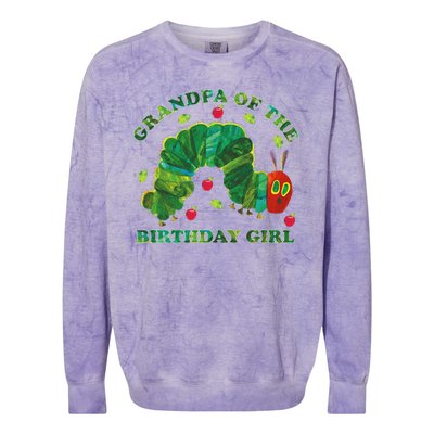 Cute Grandpa Of The Birthday Girl Hungry Caterpillar Colorblast Crewneck Sweatshirt