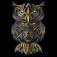 Cool Geometric Owl Unique Avian Architecture Owl Art Drawstring Bag