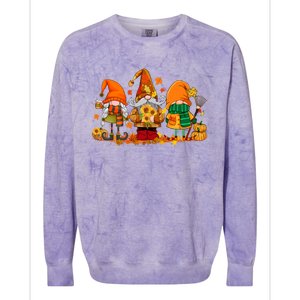 Cute Gnomes Pumpkin Fall Season Autumn Happy Thanksgiving Great Gift Colorblast Crewneck Sweatshirt