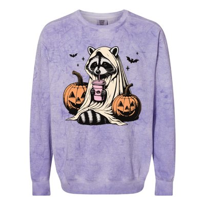 Cute Ghost Pumpkin Halloween Raccoon Costume Raccoon Lovers Colorblast Crewneck Sweatshirt