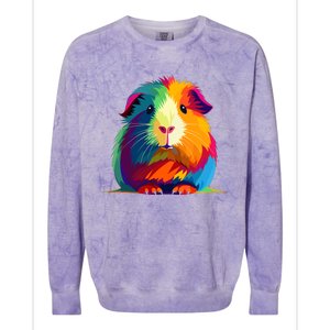 Cute Guinea Pig Rainbow Design For Guinea Pig Lovers Colorblast Crewneck Sweatshirt