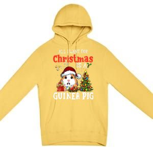 Cute Guinea Pig Christmas All I Want For Xmas Guinea Gift Premium Pullover Hoodie