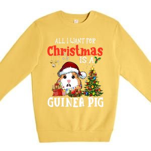 Cute Guinea Pig Christmas All I Want For Xmas Guinea Gift Premium Crewneck Sweatshirt