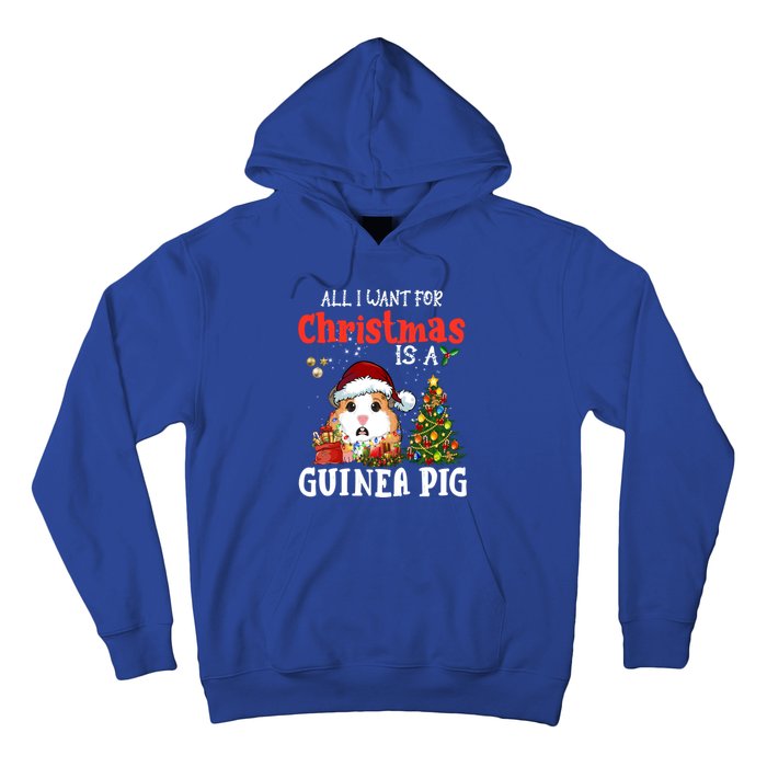 Cute Guinea Pig Christmas All I Want For Xmas Guinea Gift Hoodie