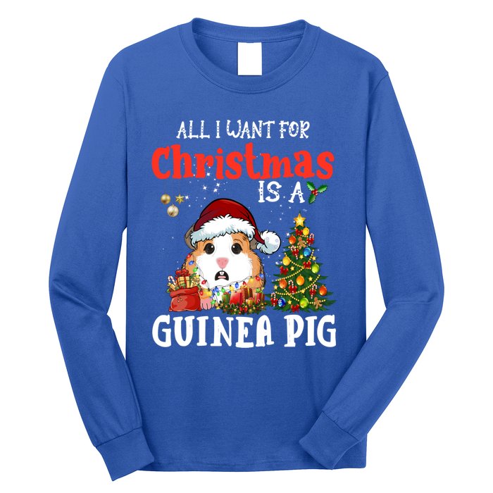 Cute Guinea Pig Christmas All I Want For Xmas Guinea Gift Long Sleeve Shirt