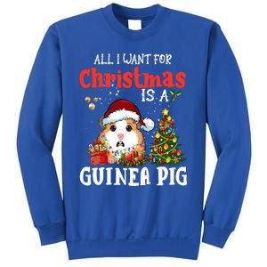 Cute Guinea Pig Christmas All I Want For Xmas Guinea Gift Sweatshirt