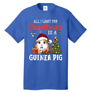 Cute Guinea Pig Christmas All I Want For Xmas Guinea Gift Tall T-Shirt