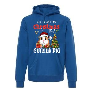 Cute Guinea Pig Christmas All I Want For Xmas Guinea Gift Premium Hoodie