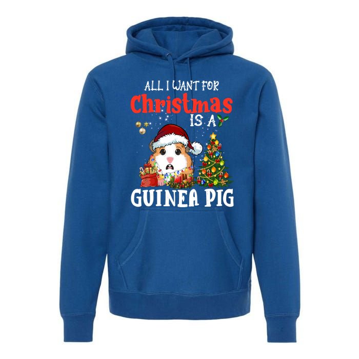 Cute Guinea Pig Christmas All I Want For Xmas Guinea Gift Premium Hoodie