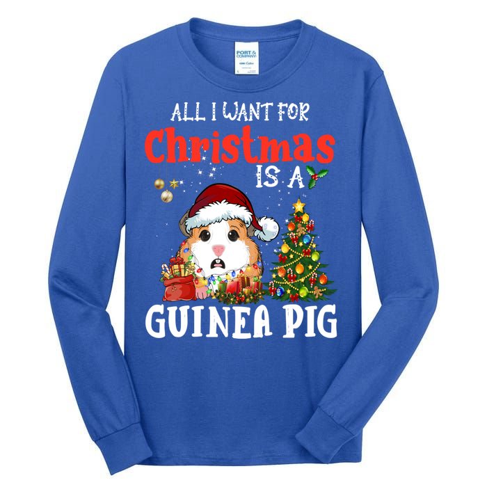 Cute Guinea Pig Christmas All I Want For Xmas Guinea Gift Tall Long Sleeve T-Shirt