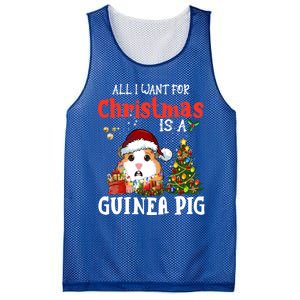 Cute Guinea Pig Christmas All I Want For Xmas Guinea Gift Mesh Reversible Basketball Jersey Tank