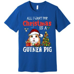 Cute Guinea Pig Christmas All I Want For Xmas Guinea Gift Premium T-Shirt