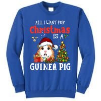 Cute Guinea Pig Christmas All I Want For Xmas Guinea Gift Tall Sweatshirt