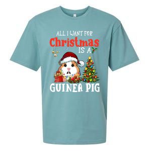 Cute Guinea Pig Christmas All I Want For Xmas Guinea Gift Sueded Cloud Jersey T-Shirt