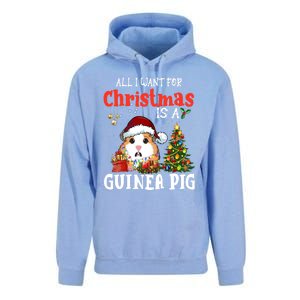 Cute Guinea Pig Christmas All I Want For Xmas Guinea Gift Unisex Surf Hoodie