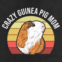 Crazy Guinea Pig Mom 11oz C Handle Ceramic Mug