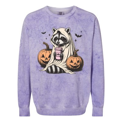 Cute Ghost Pumpkin Halloween Raccoon Costume Raccoon Lovers Colorblast Crewneck Sweatshirt