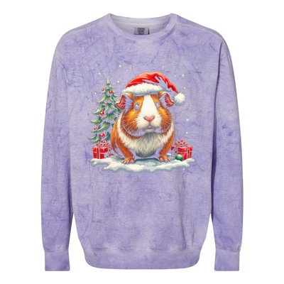 Cute Guinea Pig With Santa Hat And Snow Holiday Christmas Colorblast Crewneck Sweatshirt