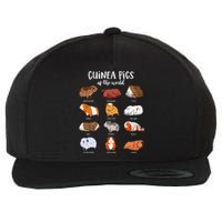 Cartoon Guinea Pigs Types Of Guinea Pigs Wool Snapback Cap