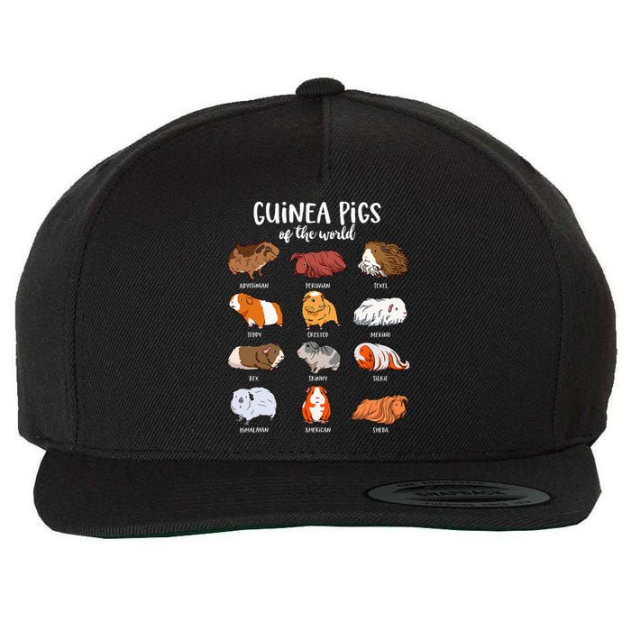 Cartoon Guinea Pigs Types Of Guinea Pigs Wool Snapback Cap