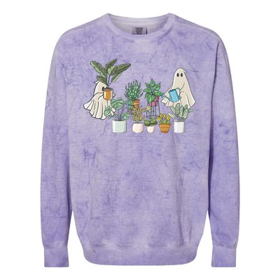 Cute Ghost Plant Lady Ghost Halloween Colorblast Crewneck Sweatshirt