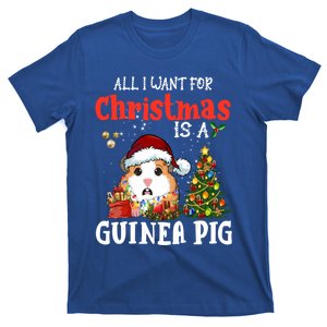 Cute Guinea Pig Christmas All I Want For Xmas Guinea Gift Great Gift T-Shirt