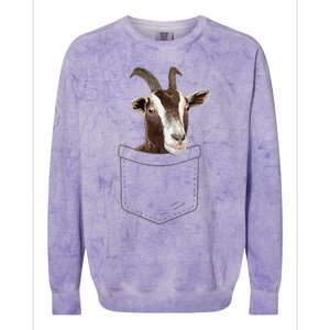 Cool Goat Pocket Goat Whisperer Farm Animal Colorblast Crewneck Sweatshirt