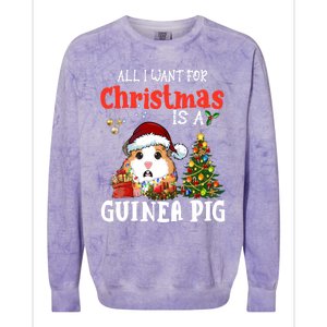 Cute Guinea Pig Christmas All I Want For Xmas Guinea Gift Colorblast Crewneck Sweatshirt