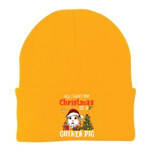 Cute Guinea Pig Christmas All I Want For Xmas Guinea Gift Knit Cap Winter Beanie