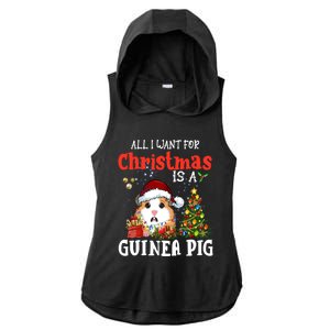 Cute Guinea Pig Christmas All I Want For Xmas Guinea Gift Ladies PosiCharge Tri-Blend Wicking Draft Hoodie Tank