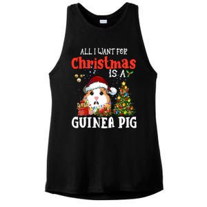 Cute Guinea Pig Christmas All I Want For Xmas Guinea Gift Ladies PosiCharge Tri-Blend Wicking Tank