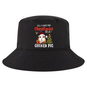 Cute Guinea Pig Christmas All I Want For Xmas Guinea Gift Cool Comfort Performance Bucket Hat