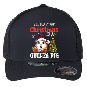 Cute Guinea Pig Christmas All I Want For Xmas Guinea Gift Flexfit Unipanel Trucker Cap