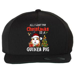 Cute Guinea Pig Christmas All I Want For Xmas Guinea Gift Wool Snapback Cap