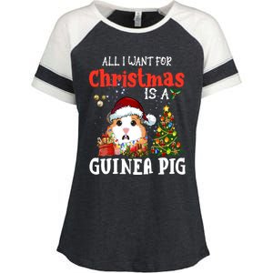 Cute Guinea Pig Christmas All I Want For Xmas Guinea Gift Enza Ladies Jersey Colorblock Tee