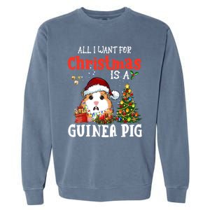 Cute Guinea Pig Christmas All I Want For Xmas Guinea Gift Garment-Dyed Sweatshirt