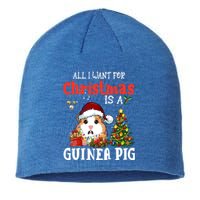 Cute Guinea Pig Christmas All I Want For Xmas Guinea Gift Sustainable Beanie