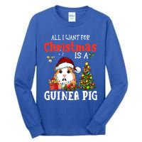 Cute Guinea Pig Christmas All I Want For Xmas Guinea Gift Tall Long Sleeve T-Shirt